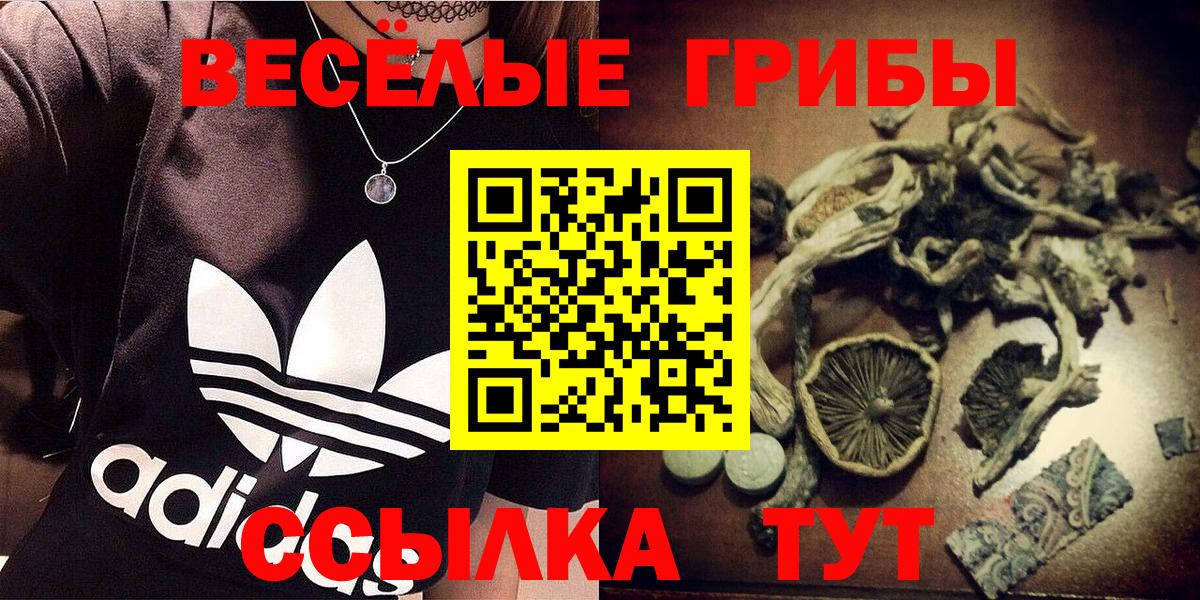 Псилоцибиновые грибы мухоморы  где купить   Вход с VPN  Советская Гавань  Галлюциногенные грибы мухоморы 